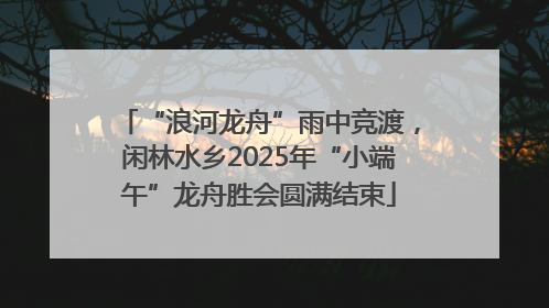 “浪河龙舟”雨中竞渡，闲林水乡2025年“小端午”龙舟胜会圆满结束