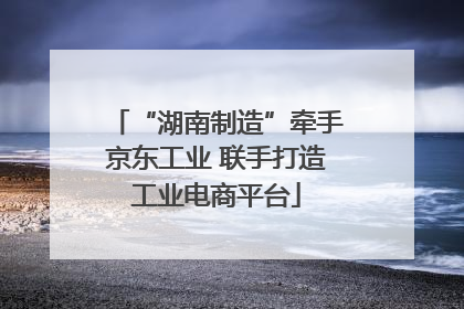 “湖南制造”牵手京东工业 联手打造工业电商平台