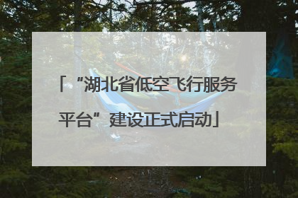 “湖北省低空飞行服务平台”建设正式启动