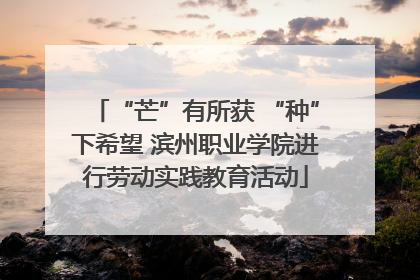 “芒”有所获 “种”下希望 滨州职业学院进行劳动实践教育活动