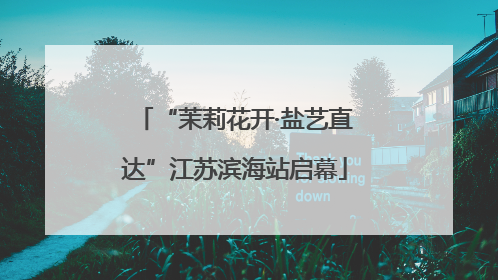 “茉莉花开·盐艺直达”江苏滨海站启幕