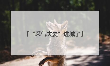 “采气夫妻”进城了