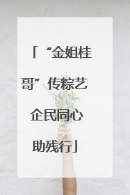“金姐桂哥”传粽艺 企民同心助残行