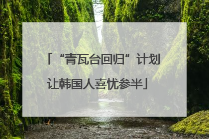“青瓦台回归”计划让韩国人喜忧参半