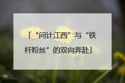 “问计江西”与“铁杆粉丝”的双向奔赴
