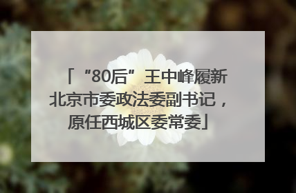 “80后”王中峰履新北京市委政法委副书记，原任西城区委常委
