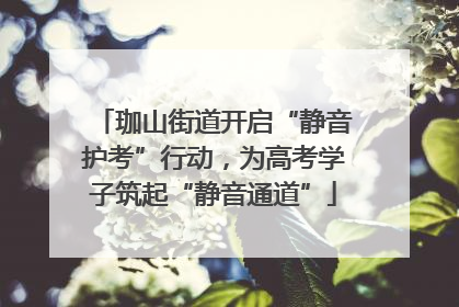 珈山街道开启“静音护考”行动，为高考学子筑起“静音通道”