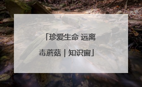珍爱生命 远离毒蘑菇｜知识窗