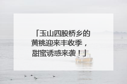 玉山四股桥乡的黄桃迎来丰收季，甜蜜诱惑来袭！