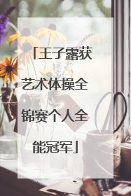 王子露获艺术体操全锦赛个人全能冠军