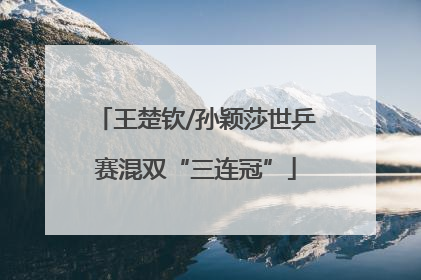 王楚钦/孙颖莎世乒赛混双“三连冠”