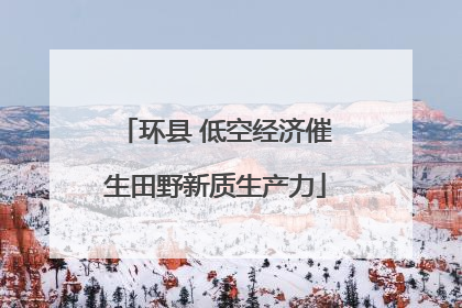 环县 低空经济催生田野新质生产力