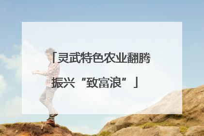 灵武特色农业翻腾振兴“致富浪”