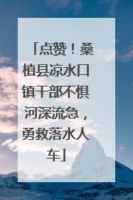 点赞！桑植县凉水口镇干部不惧河深流急，勇救落水人车