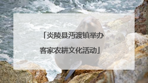 炎陵县沔渡镇举办客家农耕文化活动