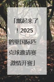 燃起来了！2025鹤壁国际匹克球邀请赛激情开赛