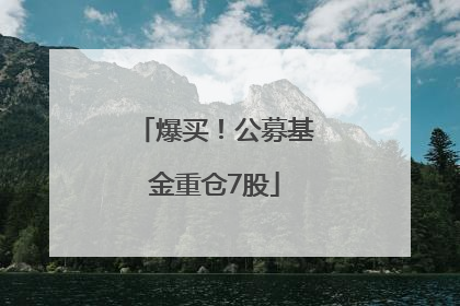爆买！公募基金重仓7股