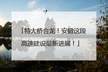 特大桥合龙！安徽这段高速建设最新进展！