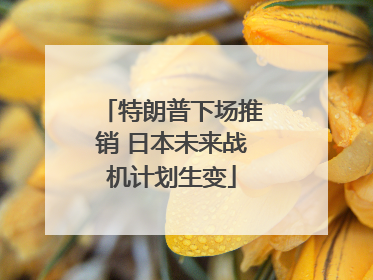 特朗普下场推销 日本未来战机计划生变