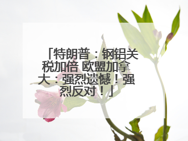 特朗普：钢铝关税加倍 欧盟加拿大：强烈遗憾！强烈反对！