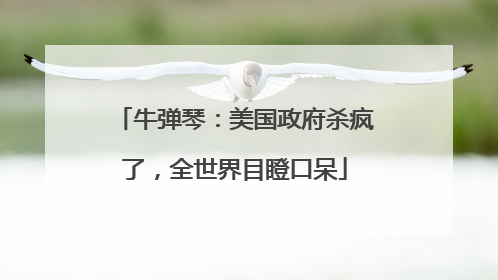 牛弹琴：美国政府杀疯了，全世界目瞪口呆