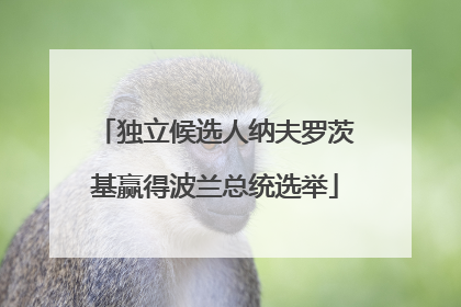 独立候选人纳夫罗茨基赢得波兰总统选举