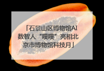 石景山区博物馆AI数智人“噗噗”亮相北京市博物馆科技月