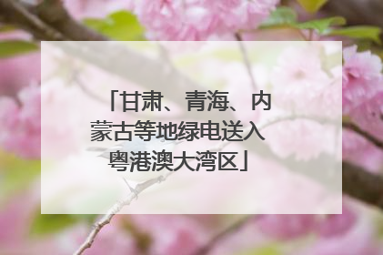 甘肃、青海、内蒙古等地绿电送入粤港澳大湾区