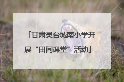 甘肃灵台城南小学开展“田间课堂”活动