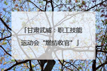 甘肃武威：职工技能运动会“燃情收官”