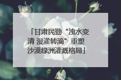甘肃民勤“浊水变清 漫灌转滴”重塑沙漠绿洲灌溉格局