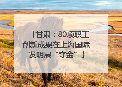 甘肃：80项职工创新成果在上海国际发明展“夺金”