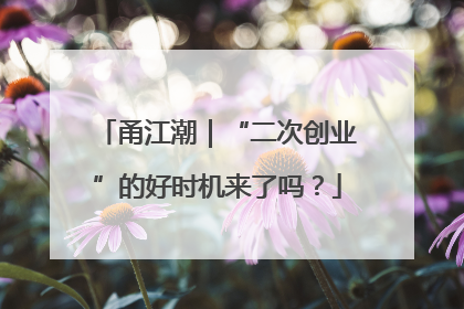 甬江潮｜“二次创业”的好时机来了吗？