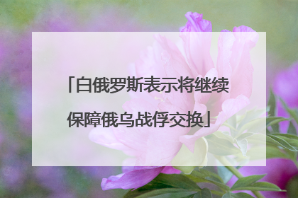 白俄罗斯表示将继续保障俄乌战俘交换