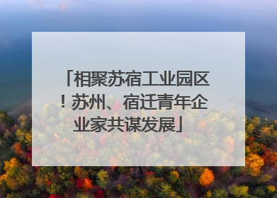相聚苏宿工业园区！苏州、宿迁青年企业家共谋发展