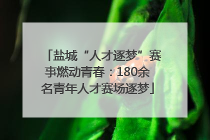 盐城“人才逐梦”赛事燃动青春：180余名青年人才赛场逐梦