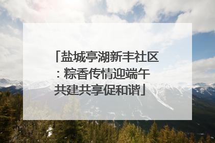 盐城亭湖新丰社区：粽香传情迎端午 共建共享促和谐