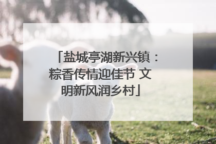 盐城亭湖新兴镇：粽香传情迎佳节 文明新风润乡村
