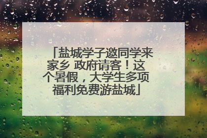 盐城学子邀同学来家乡 政府请客！这个暑假，大学生多项福利免费游盐城
