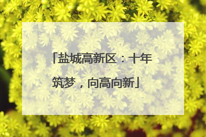 盐城高新区：十年筑梦，向高向新