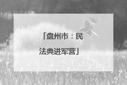 盘州市：民法典进军营