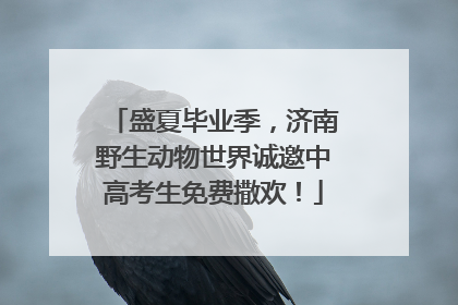 盛夏毕业季，济南野生动物世界诚邀中高考生免费撒欢！