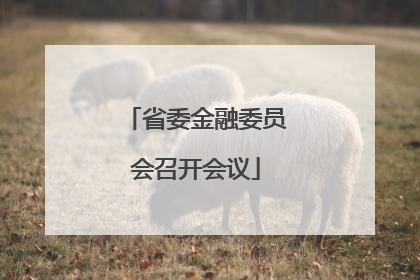 省委金融委员会召开会议