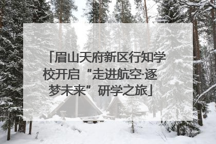 眉山天府新区行知学校开启“走进航空·逐梦未来”研学之旅