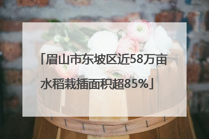 眉山市东坡区近58万亩水稻栽插面积超85%