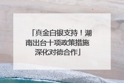 真金白银支持！湖南出台十项政策措施深化对德合作