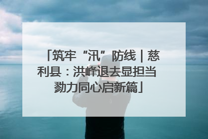 筑牢“汛”防线｜慈利县：洪峰退去显担当 勠力同心启新篇