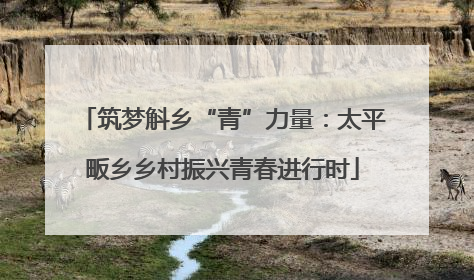 筑梦斛乡“青”力量：太平畈乡乡村振兴青春进行时