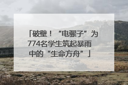 破壁！“电骡子”为774名学生筑起暴雨中的“生命方舟”