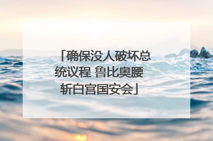 确保没人破坏总统议程 鲁比奥腰斩白宫国安会